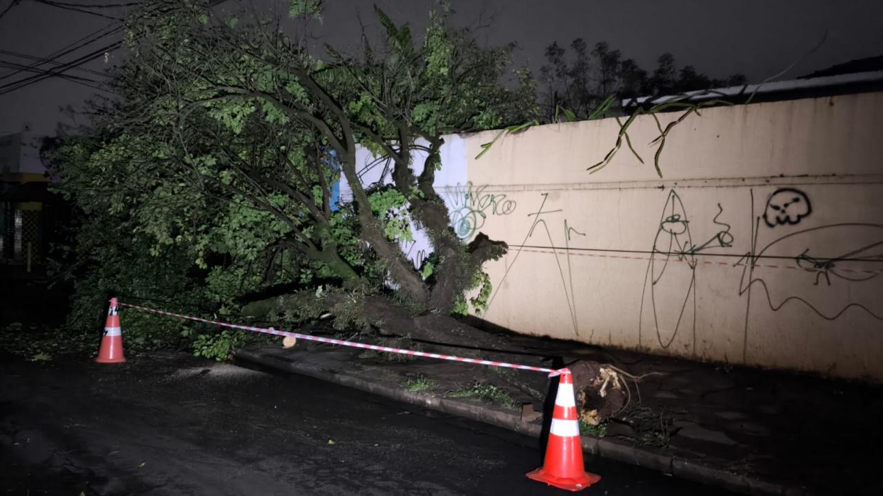 Foto 56 de 67 — TEMPORAL EM FOTOS: veja imagens de destruição em Araraquara